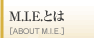 M.I.E.Ƃ